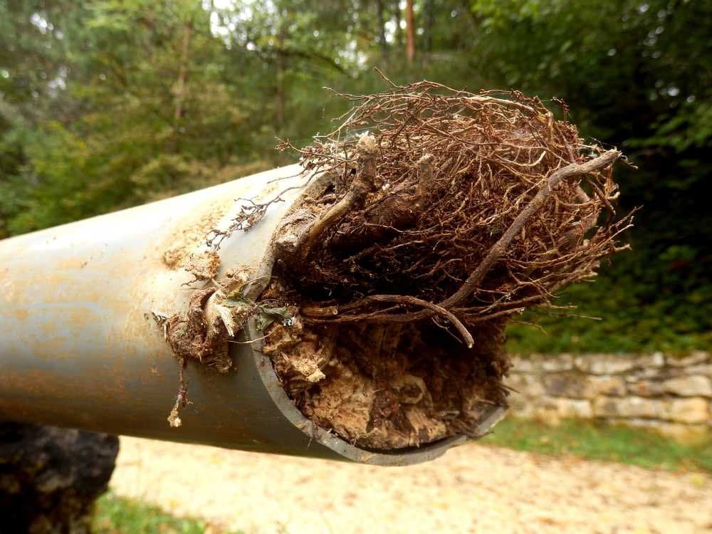 An Introduction to Hydro Jetting: The Ultimate Solution for Your Sewer and Drainage Problems